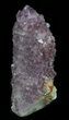 Cactus Quartz (Amethyst) Crystal - South Africa #64230-1